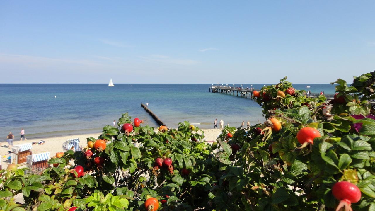 Parkhotel IV Jahreszeiten Ostseebad Kühlungsborn Εξωτερικό φωτογραφία
